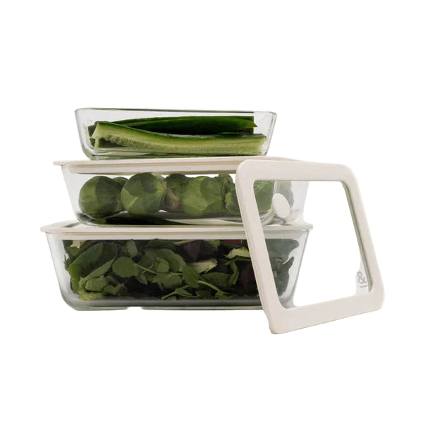 Seed & Sprout Glass Food Containers | Rectangle Mixed 3pk