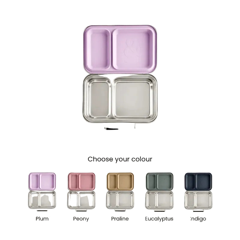 Seed & Sprout Bento Box