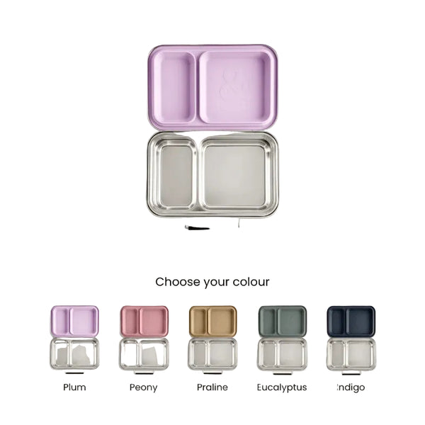 Seed & Sprout Bento Box