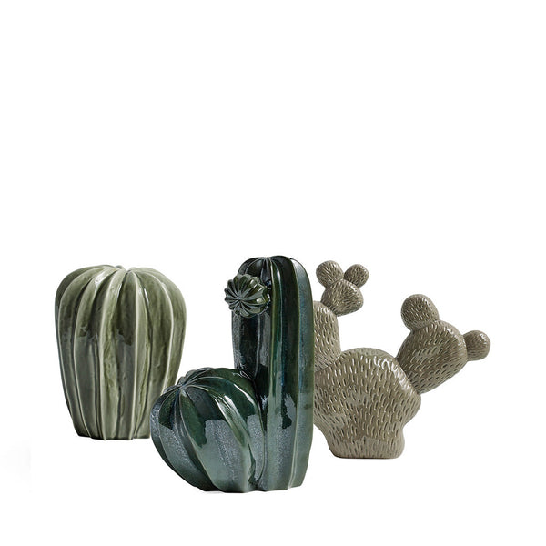 Cacti Dos, Deep Green for HAY